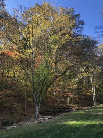 7415 Forrest Glenn Road Fairview TN 37062