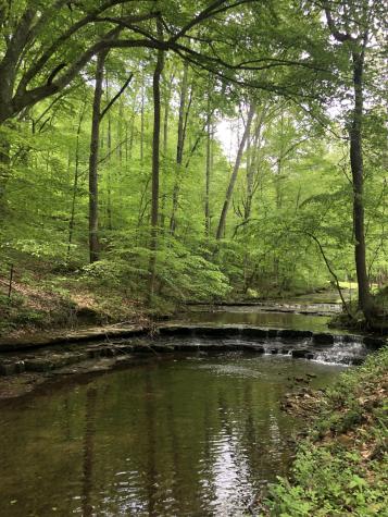 7415 Forrest Glenn Road Fairview TN 37062