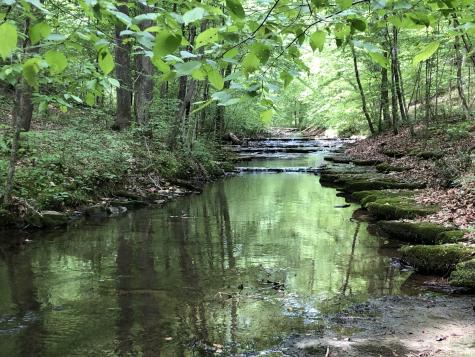 7415 Forrest Glenn Road Fairview TN 37062