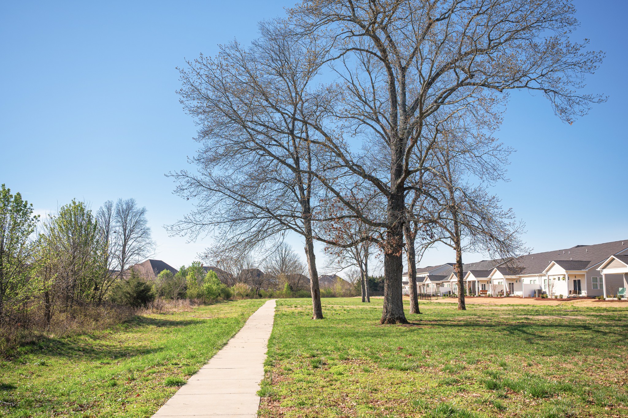 2313 Audubon Lane Murfreesboro TN 37128
