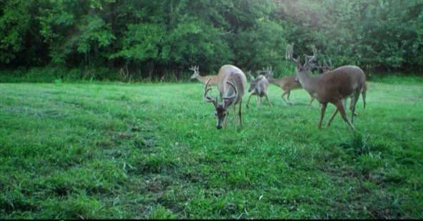 2617 Fayetteville Highway Belfast TN 37019