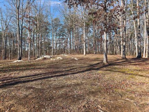 244 Dickerson Lane Altamont TN 37301