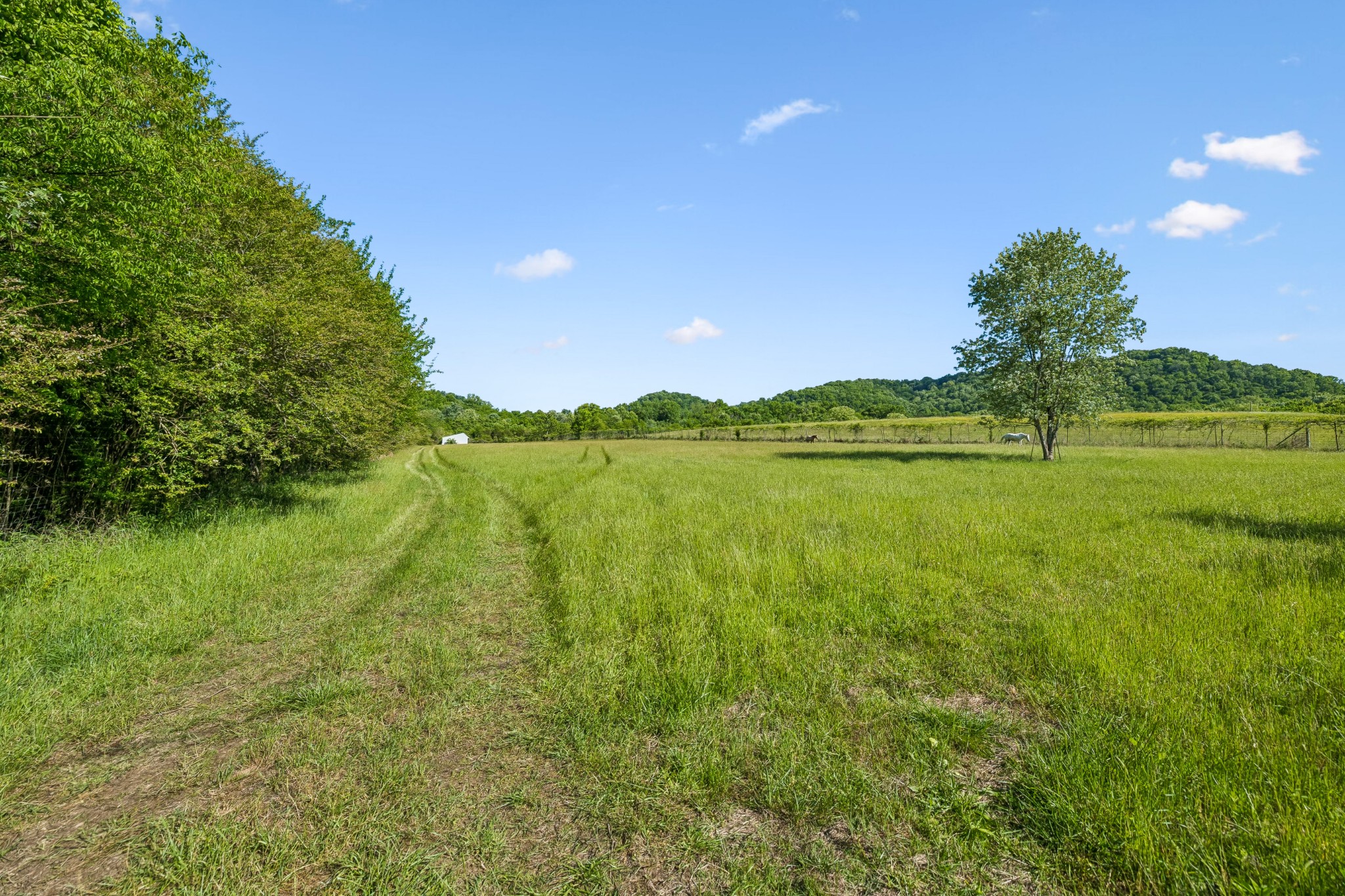 97 Seabo Valley Lane Hickman TN 38567