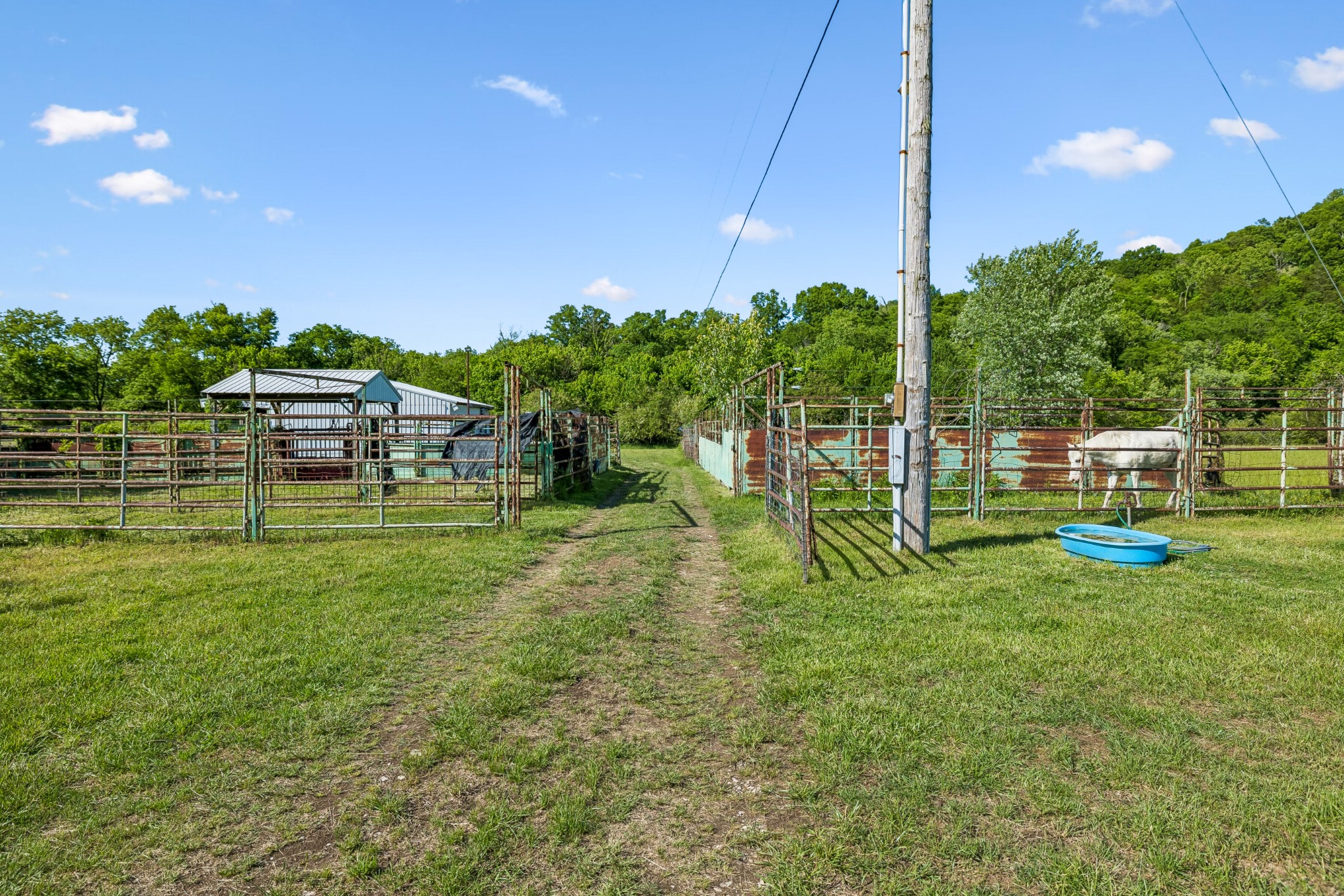 97 Seabo Valley Lane Hickman TN 38567