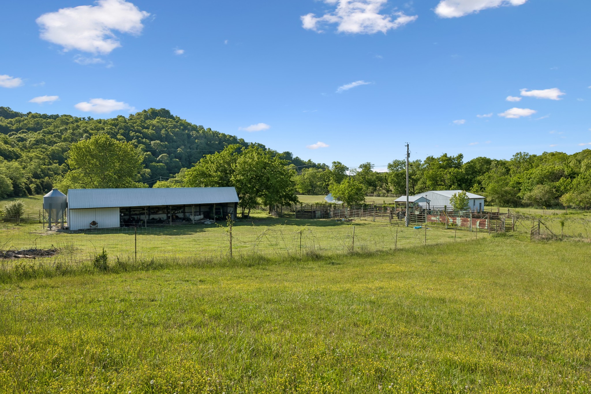 97 Seabo Valley Lane Hickman TN 38567