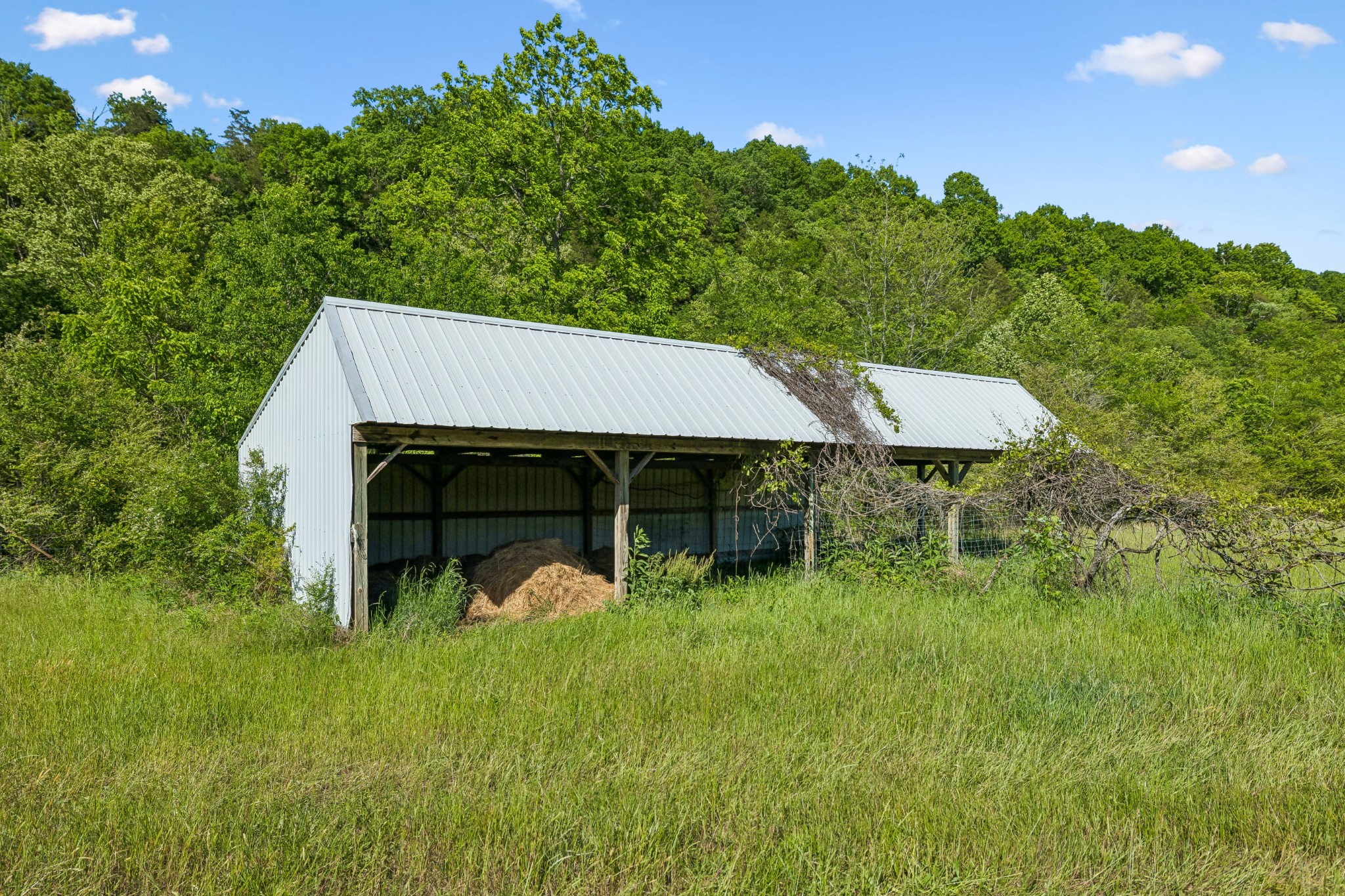 97 Seabo Valley Lane Hickman TN 38567