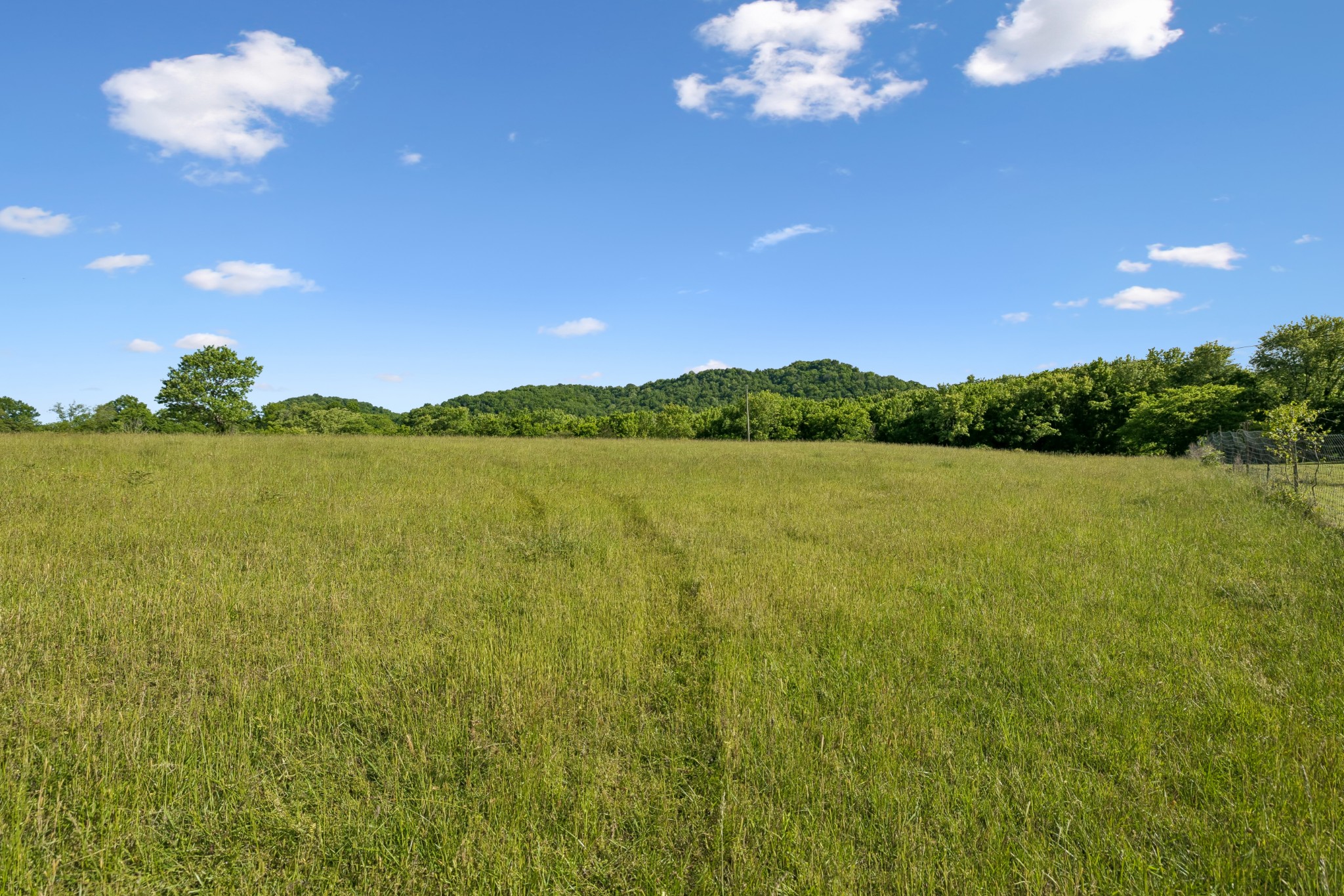97 Seabo Valley Lane Hickman TN 38567