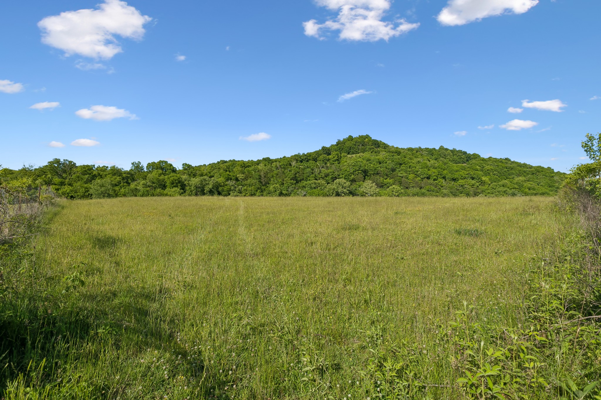 97 Seabo Valley Lane Hickman TN 38567