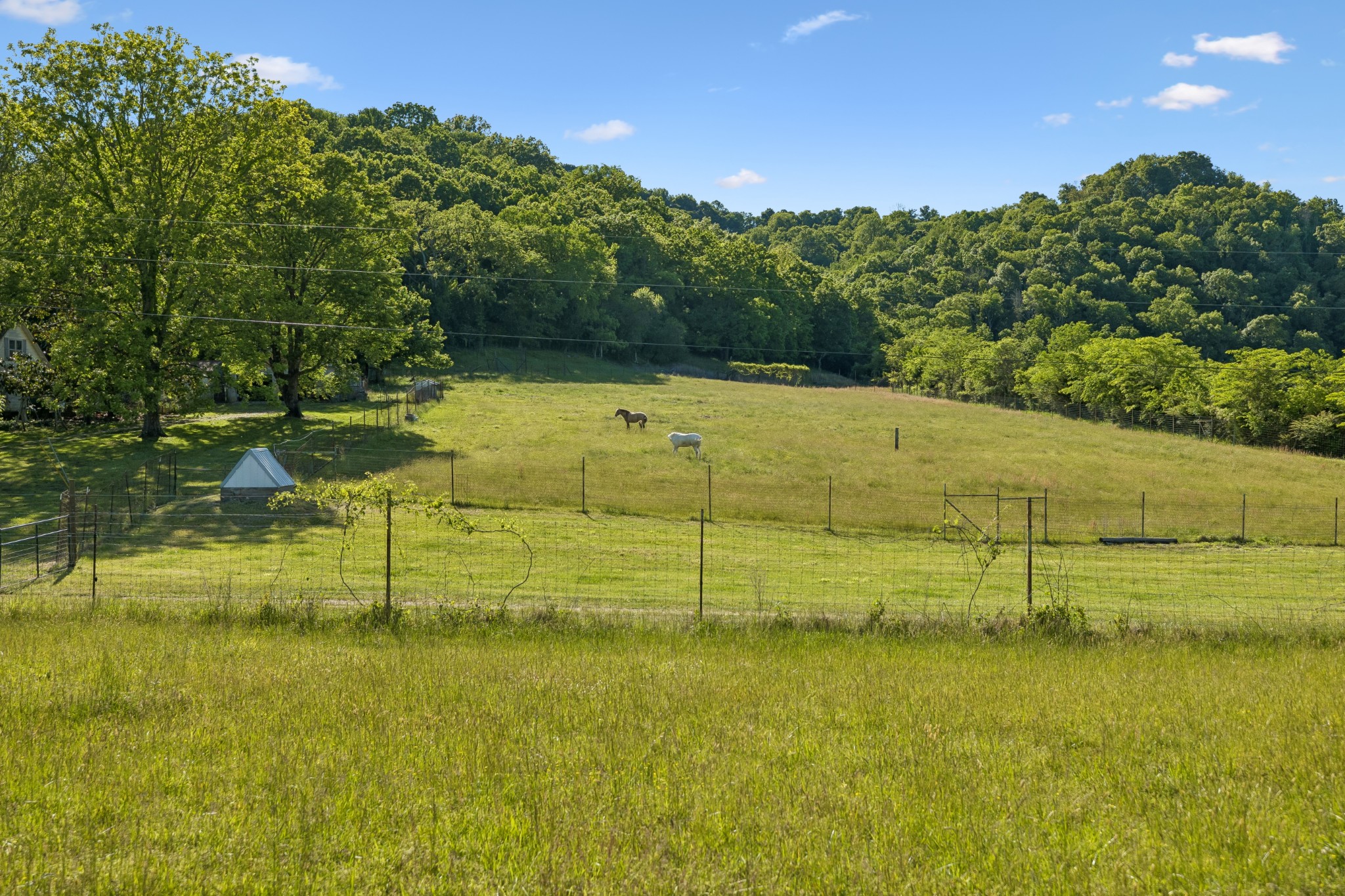 97 Seabo Valley Lane Hickman TN 38567