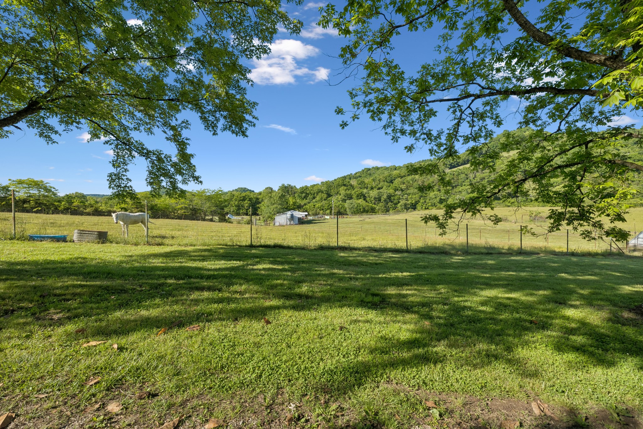 97 Seabo Valley Lane Hickman TN 38567