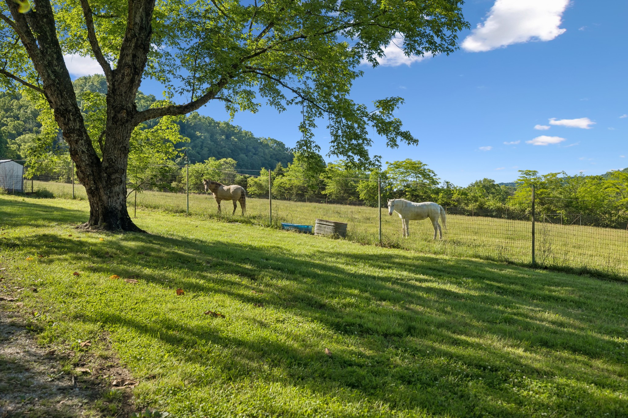 97 Seabo Valley Lane Hickman TN 38567