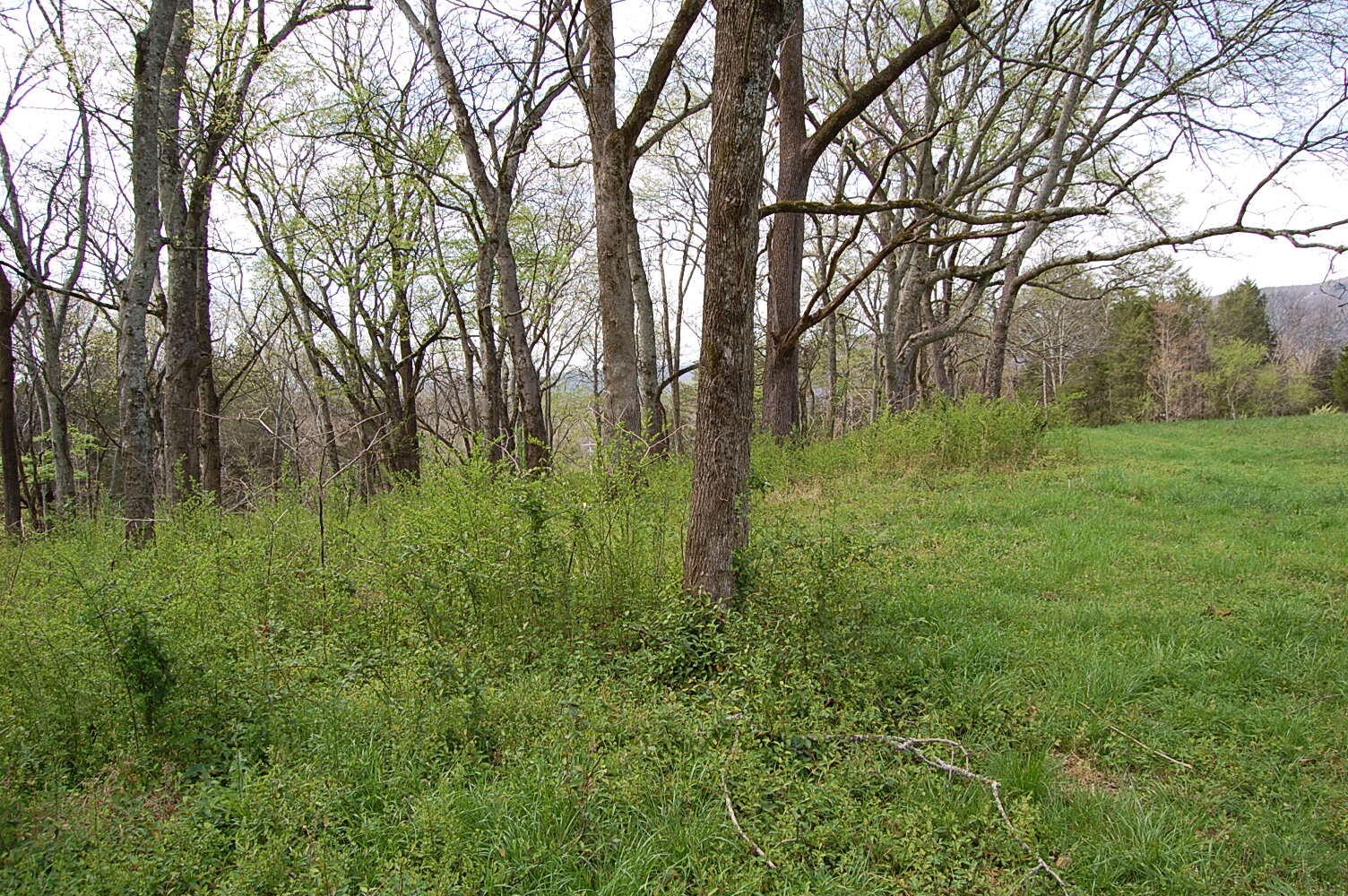 2 Riverbend Lane Dunlap TN 37327