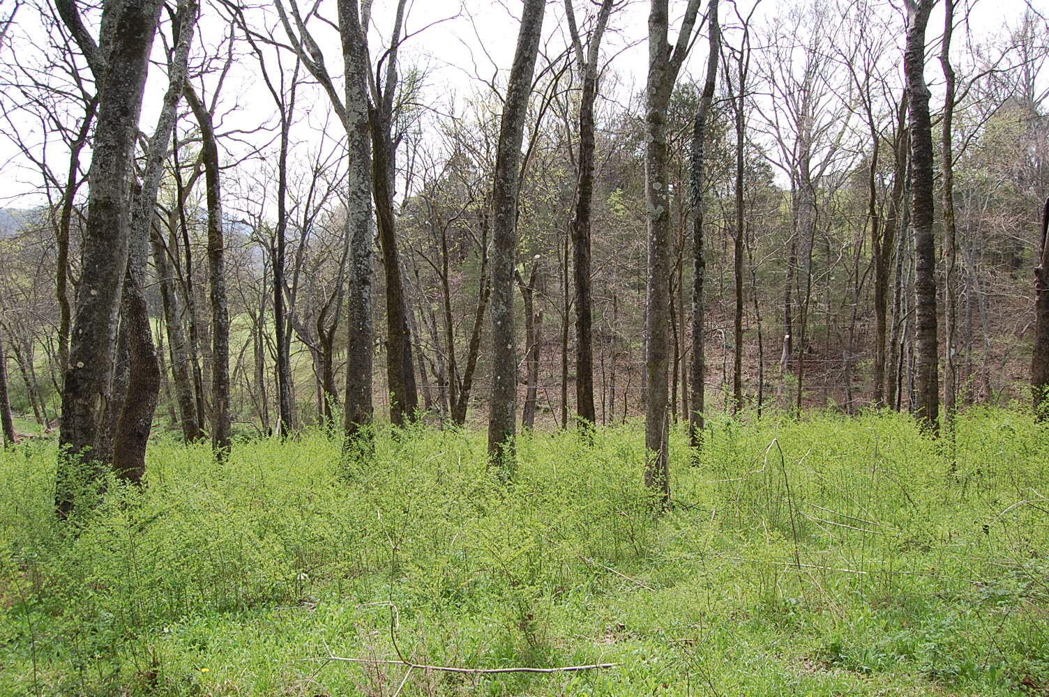 2 Riverbend Lane Dunlap TN 37327