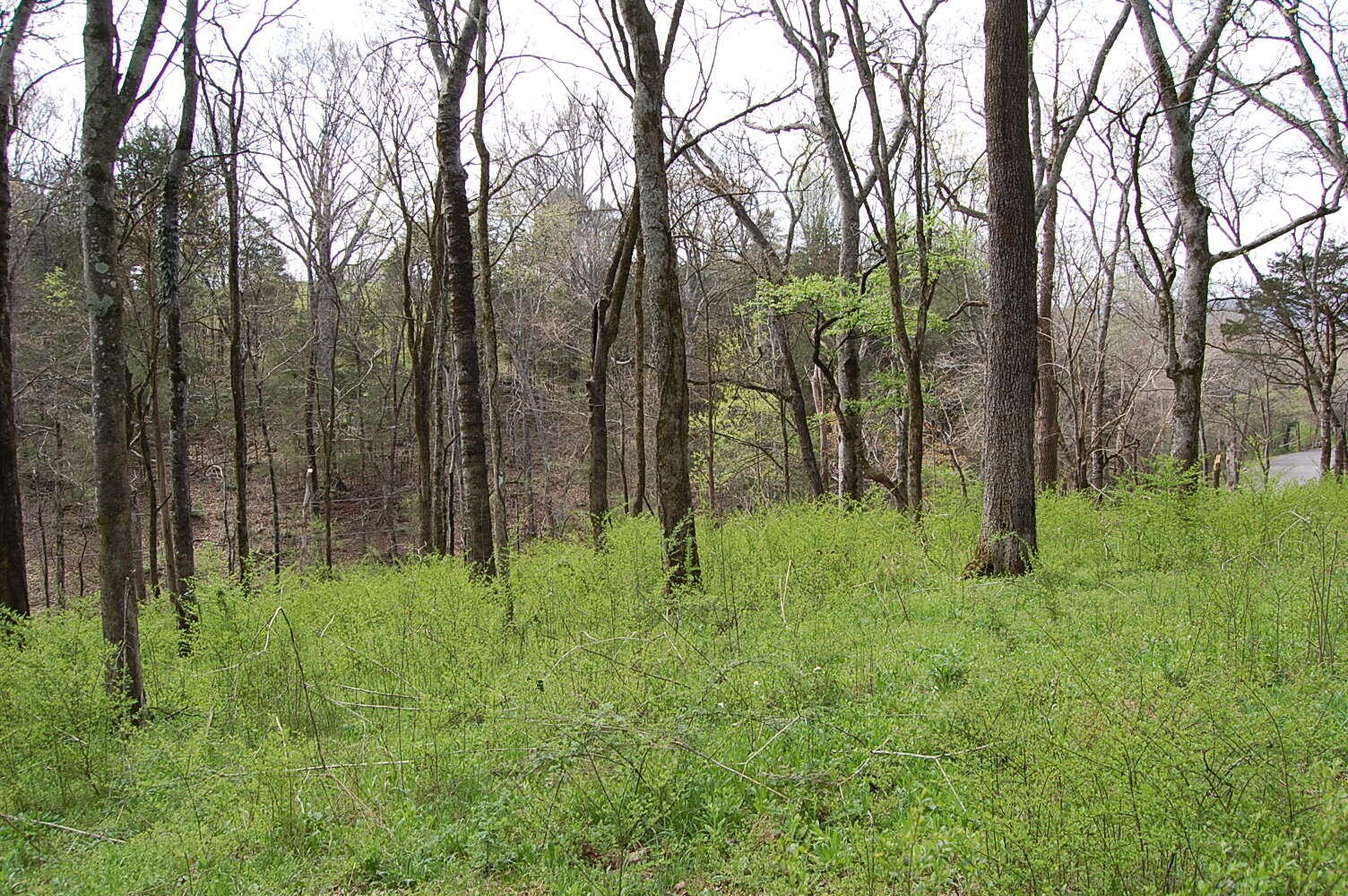 2 Riverbend Lane Dunlap TN 37327