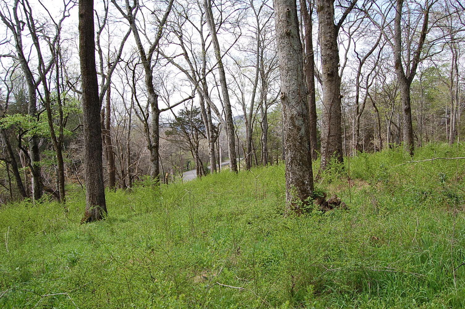2 Riverbend Lane Dunlap TN 37327