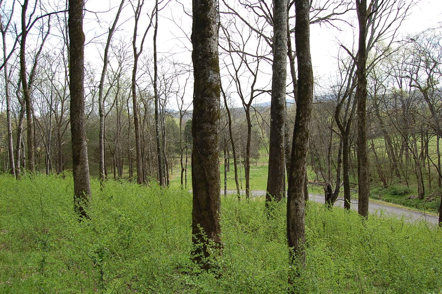 2 Riverbend Lane Dunlap TN 37327