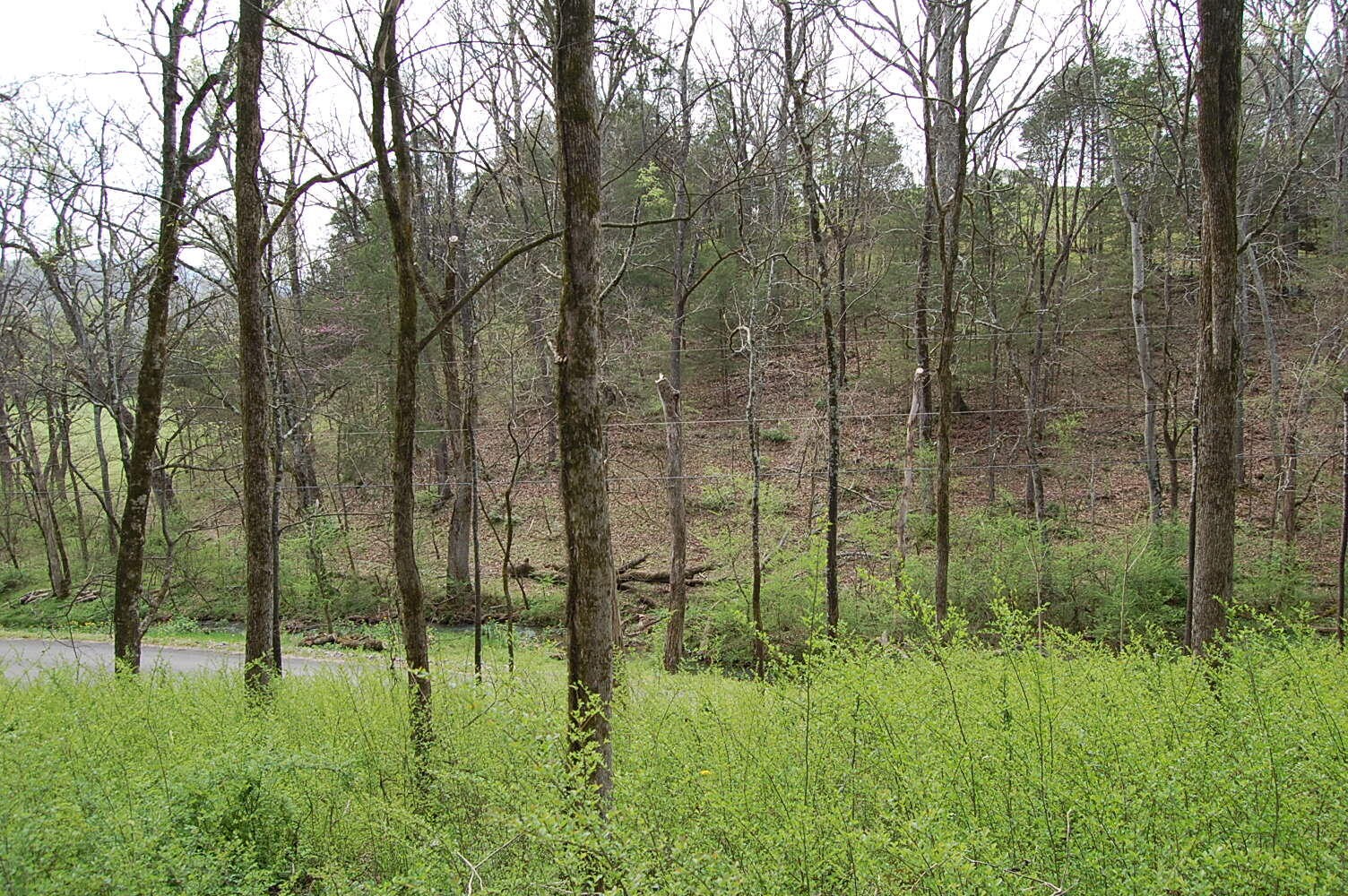 2 Riverbend Lane Dunlap TN 37327