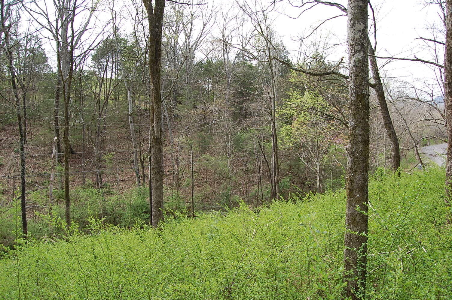 2 Riverbend Lane Dunlap TN 37327