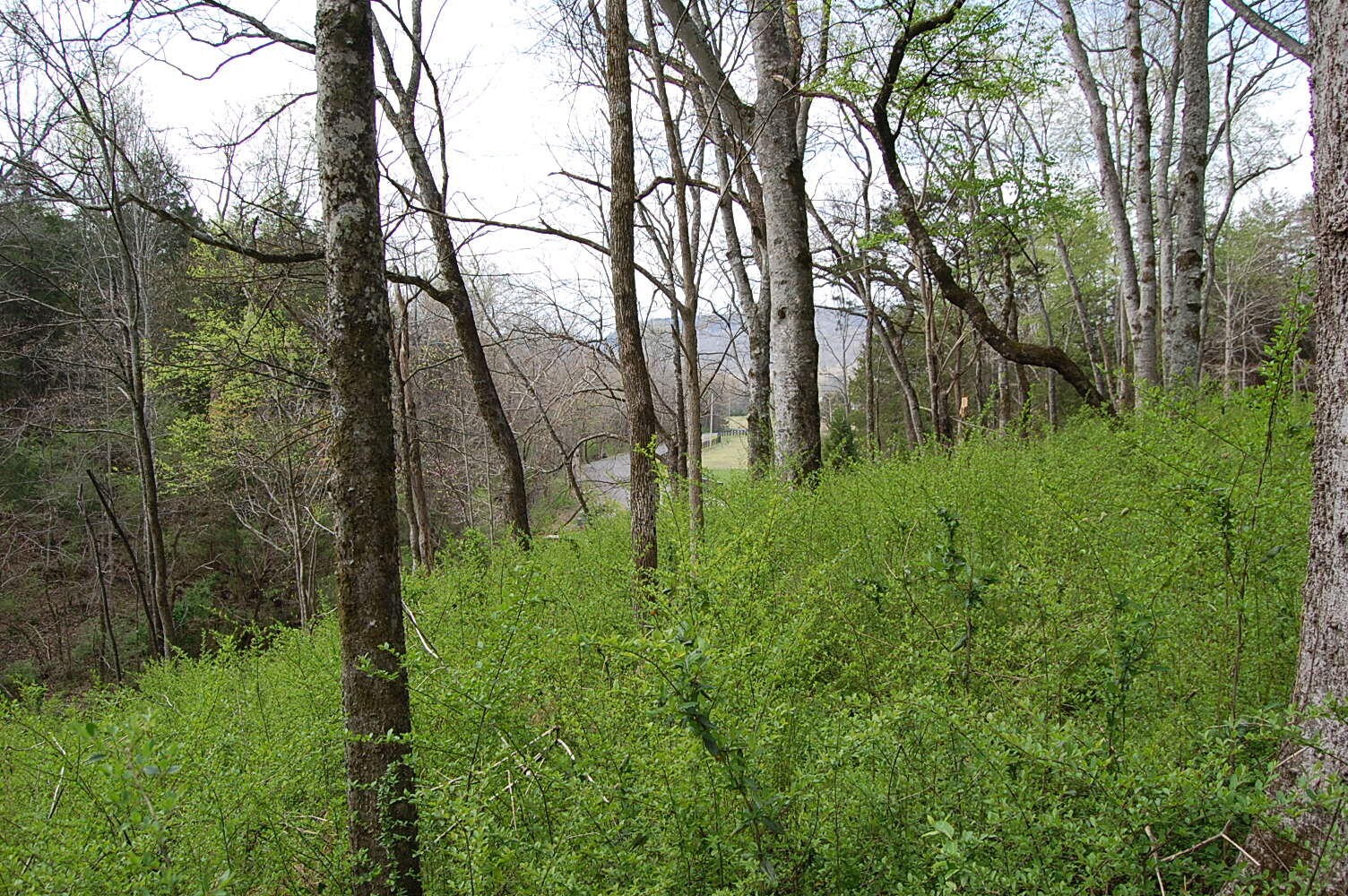 2 Riverbend Lane Dunlap TN 37327