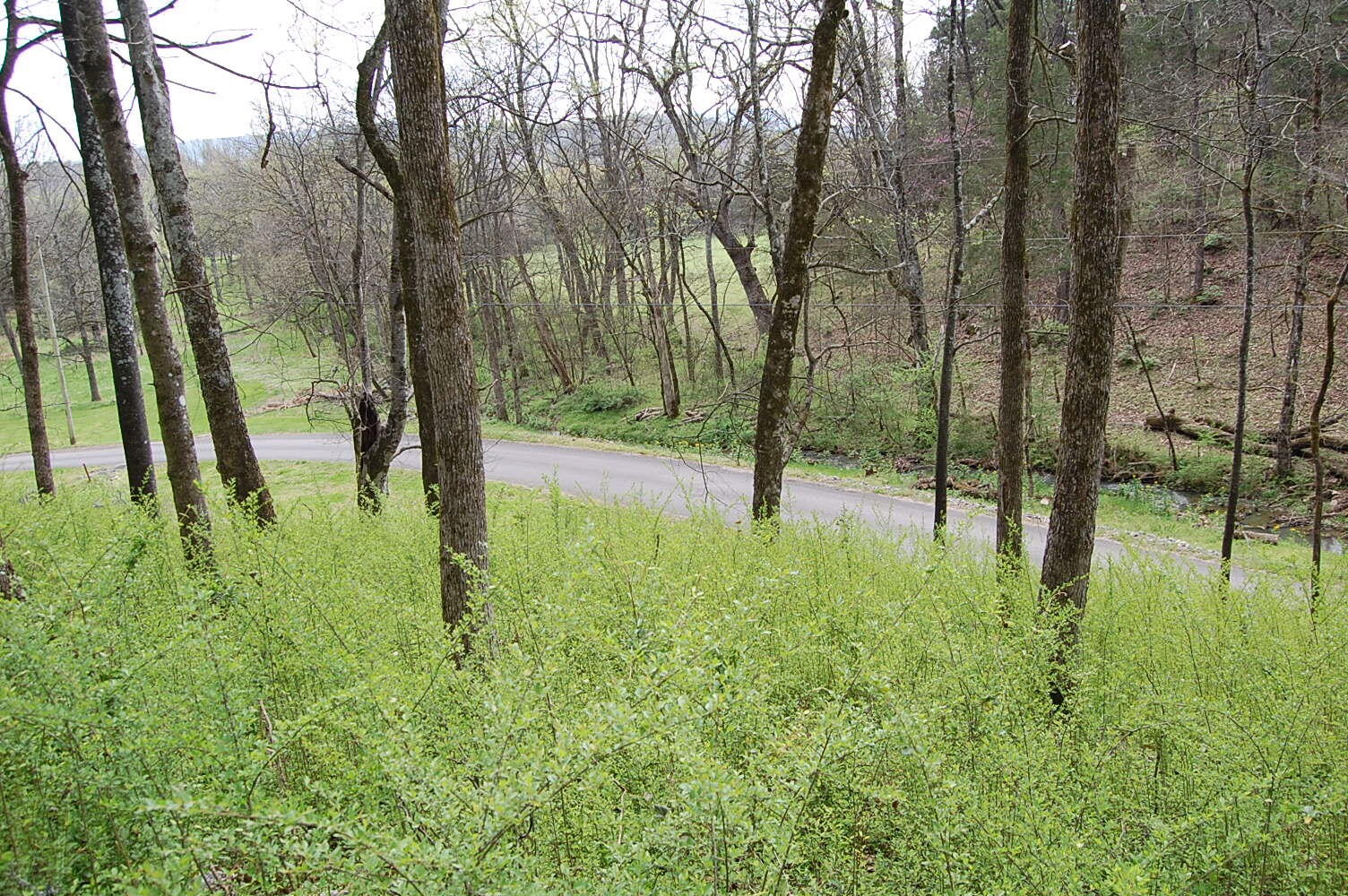 2 Riverbend Lane Dunlap TN 37327