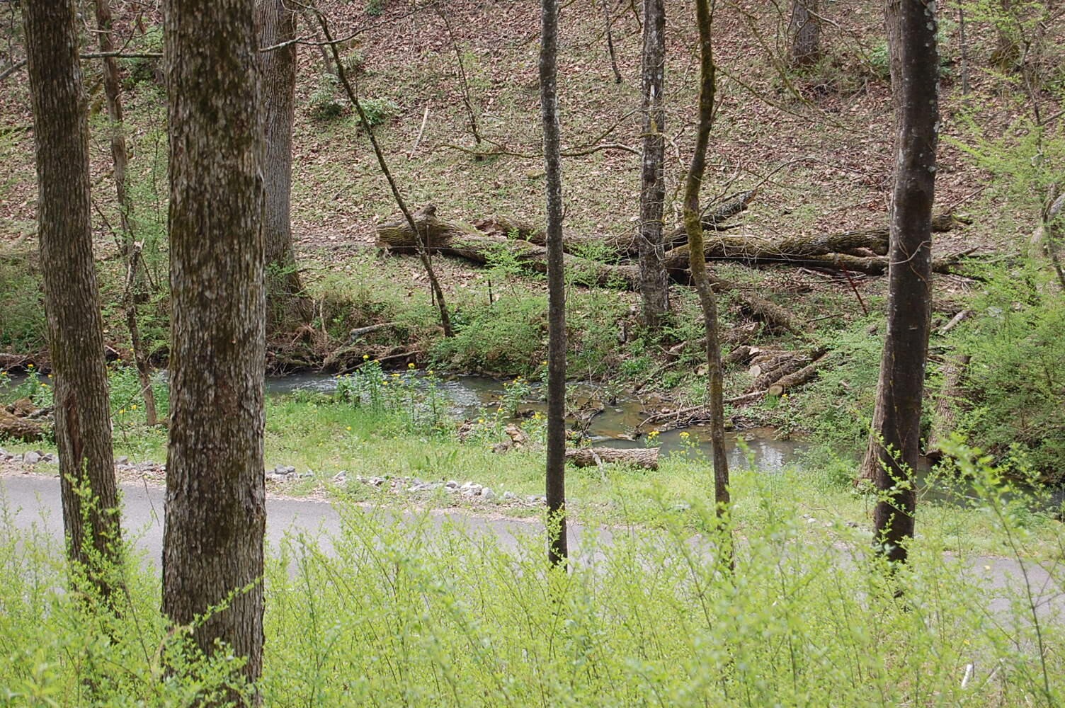 2 Riverbend Lane Dunlap TN 37327