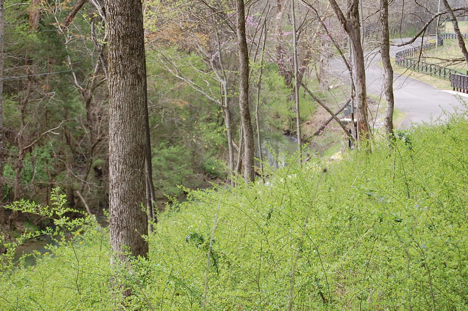 2 Riverbend Lane Dunlap TN 37327