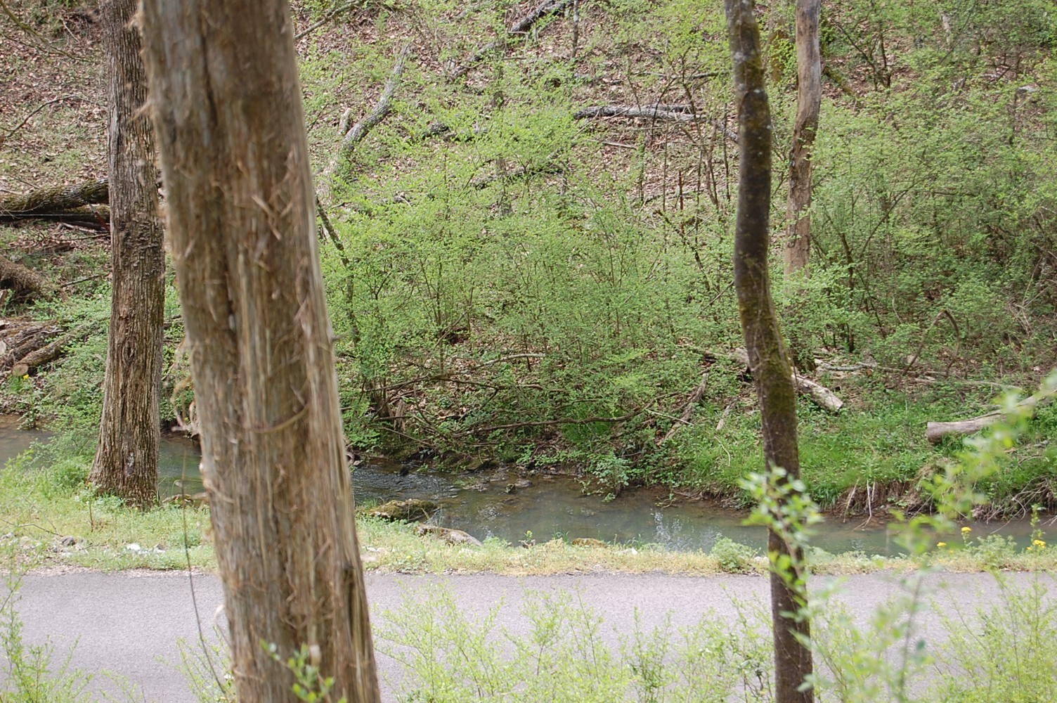 2 Riverbend Lane Dunlap TN 37327