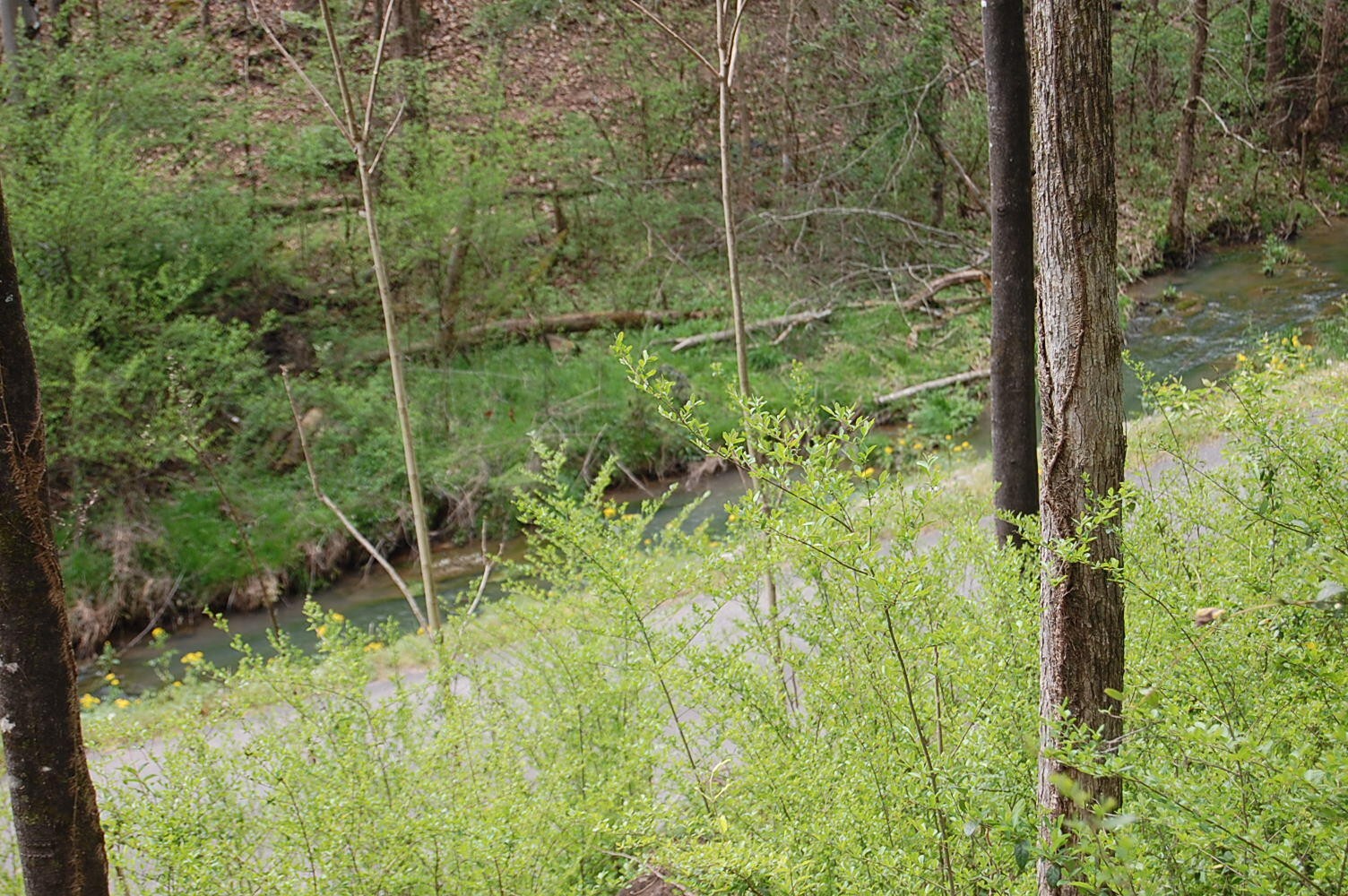 2 Riverbend Lane Dunlap TN 37327