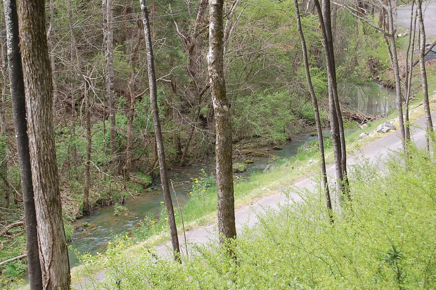 2 Riverbend Lane Dunlap TN 37327