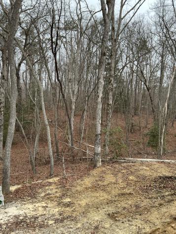 549 Dollar Drive Altamont TN 37301