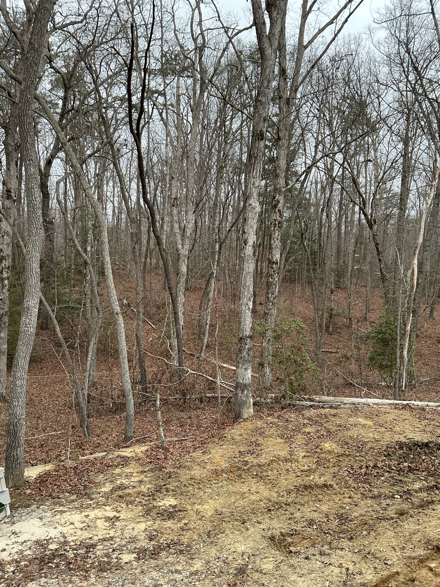 549 Dollar Drive Altamont TN 37301