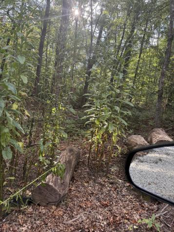 549 Dollar Drive Altamont TN 37301