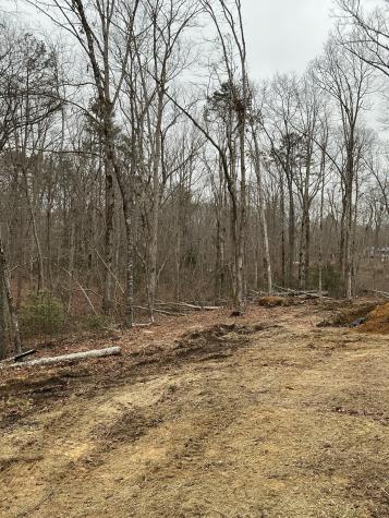 549 Dollar Drive Altamont TN 37301