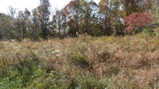 0 Moss Arcot Road Celina TN 38551
