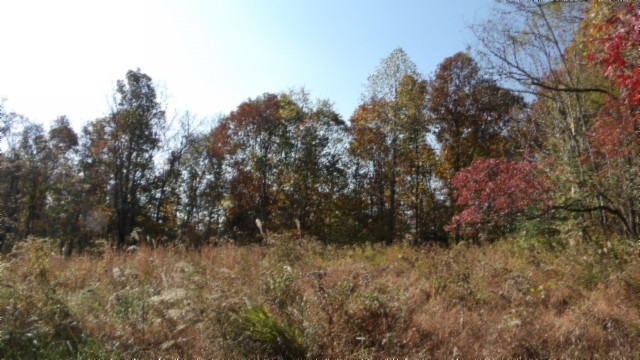 0 Moss Arcot Road Celina TN 38551