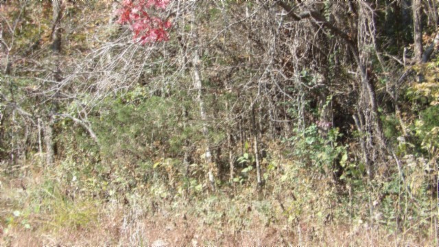 0 Moss Arcot Road Celina TN 38551