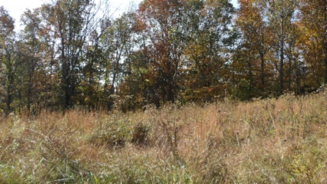 0 Moss Arcot Road Celina TN 38551