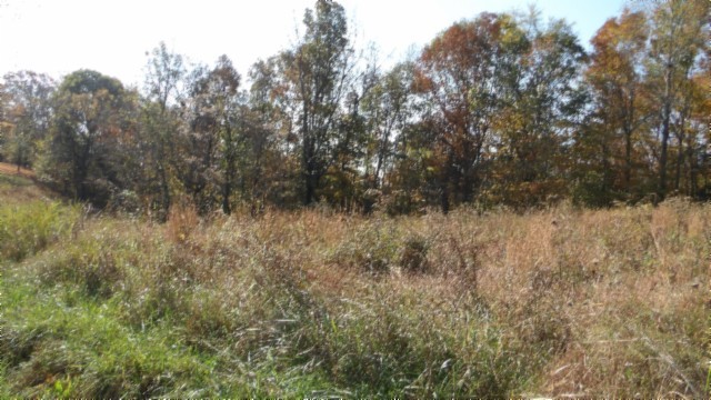 0 Moss Arcot Road Celina TN 38551