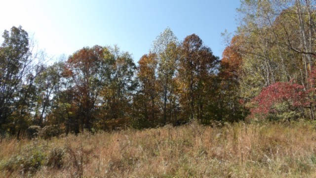 0 Moss Arcot Road Celina TN 38551