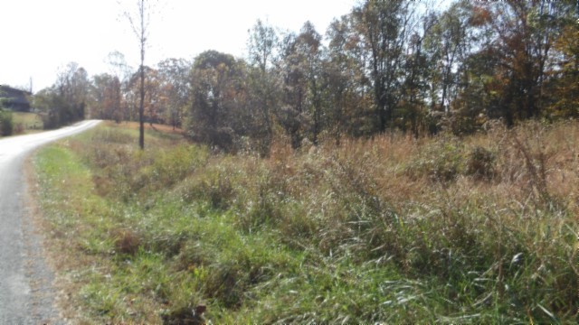 0 Moss Arcot Road Celina TN 38551