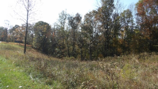 0 Moss Arcot Road Celina TN 38551
