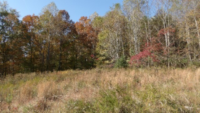 0 Moss Arcot Road Celina TN 38551