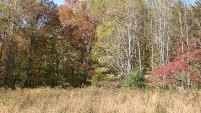 0 Moss Arcot Road Celina TN 38551