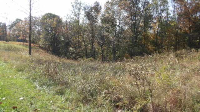 0 Moss Arcot Road Celina TN 38551