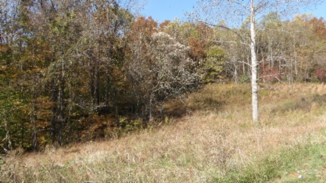0 Moss Arcot Road Celina TN 38551