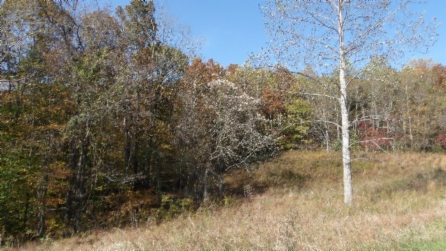 0 Moss Arcot Road Celina TN 38551
