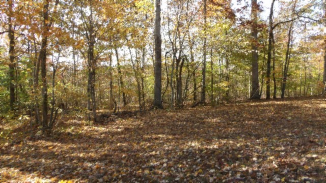 0 Moss Arcot Road Celina TN 38551