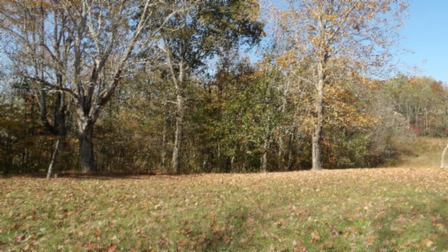 0 Moss Arcot Road Celina TN 38551