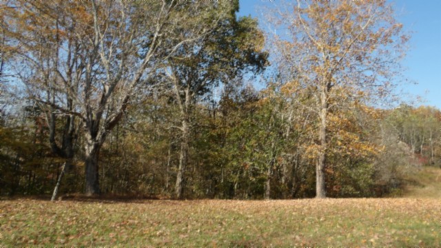 0 Moss Arcot Road Celina TN 38551