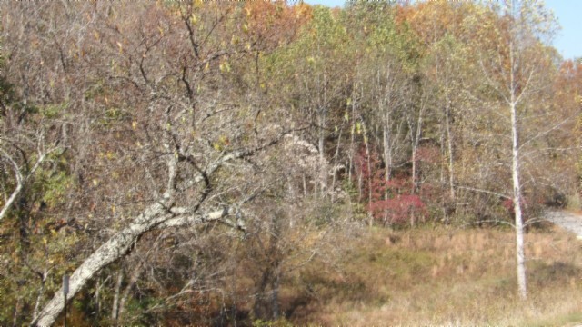 0 Moss Arcot Road Celina TN 38551
